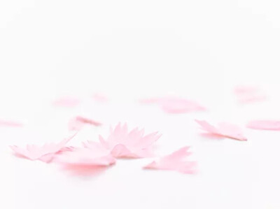 【环保还能开花的铅笔】在经历了一年半的研发之后，日本设计公司 TRINUS 推出了一款能让人削出花朵的铅笔。正如其名，这套花色铅笔的灵感源自日本文化中常见的五种花朵，并且和它们的颜色一一对应，淡雅的颜色和五角…