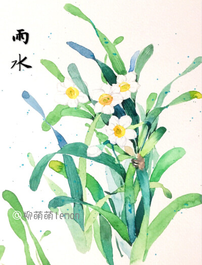 水仙花