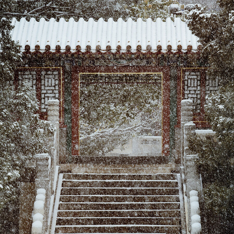 雨雪纷纷.jpg