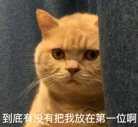 猫咪表情包