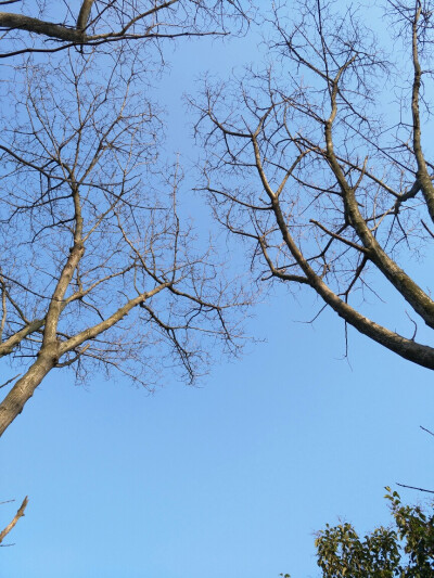 抬头看看天空～