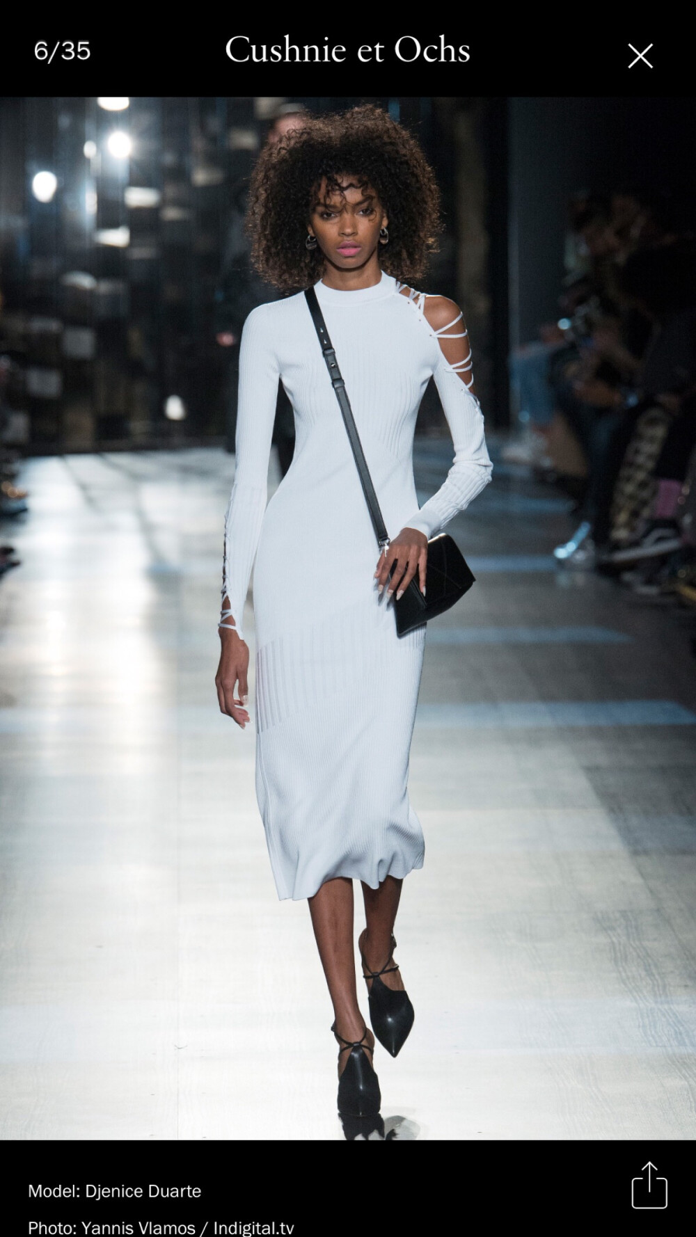 Cushnie et ochs 2017