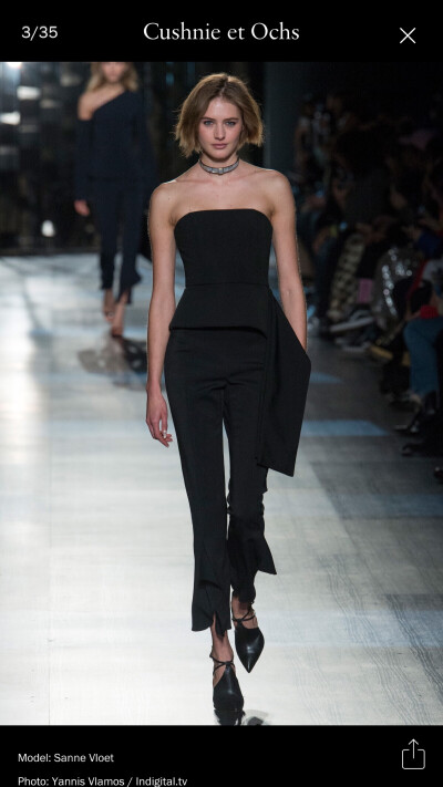 Cushnie et ochs 2017