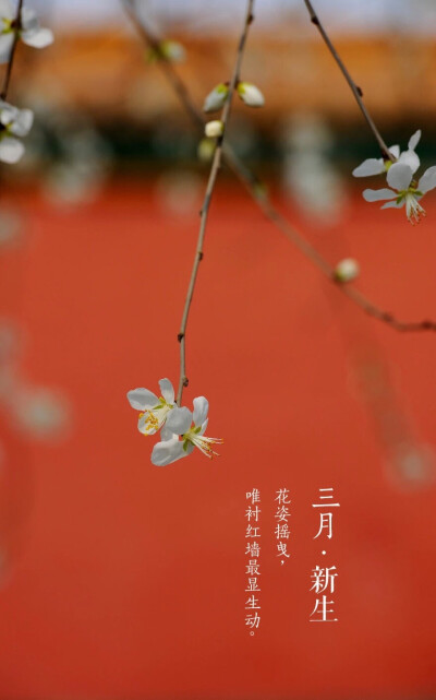 三月 March