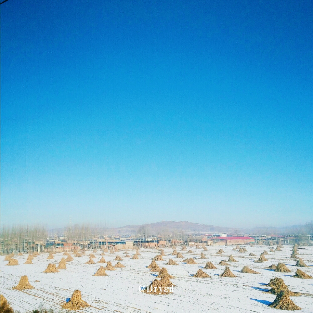 车窗外的美丽
雪野