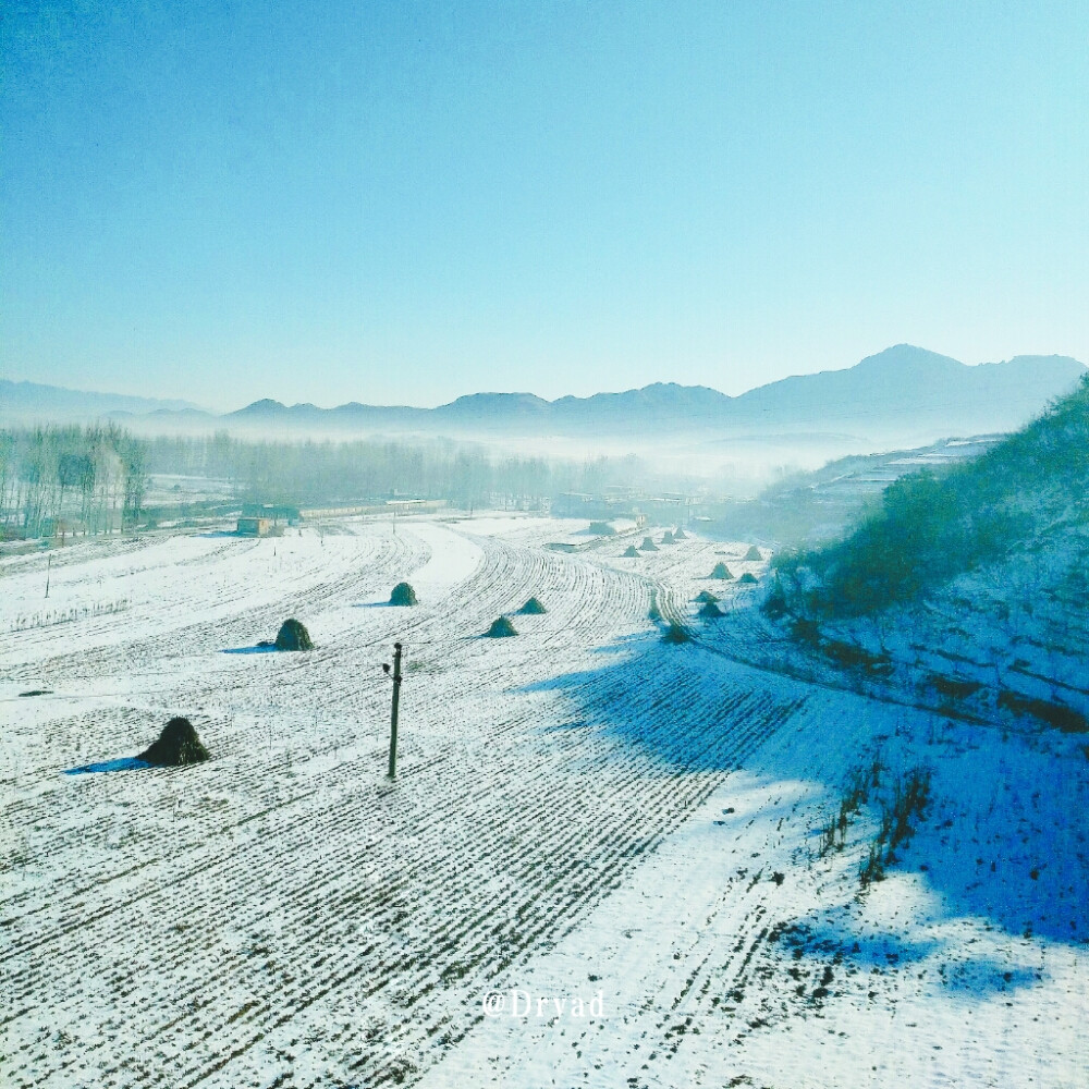 车窗外的美丽
雪野