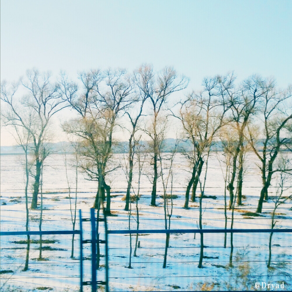 车窗外的美丽
雪野