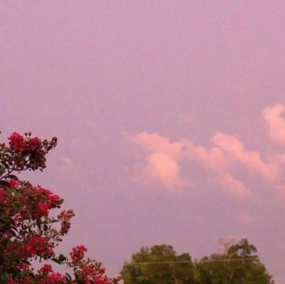 粉色天空背景图封面
