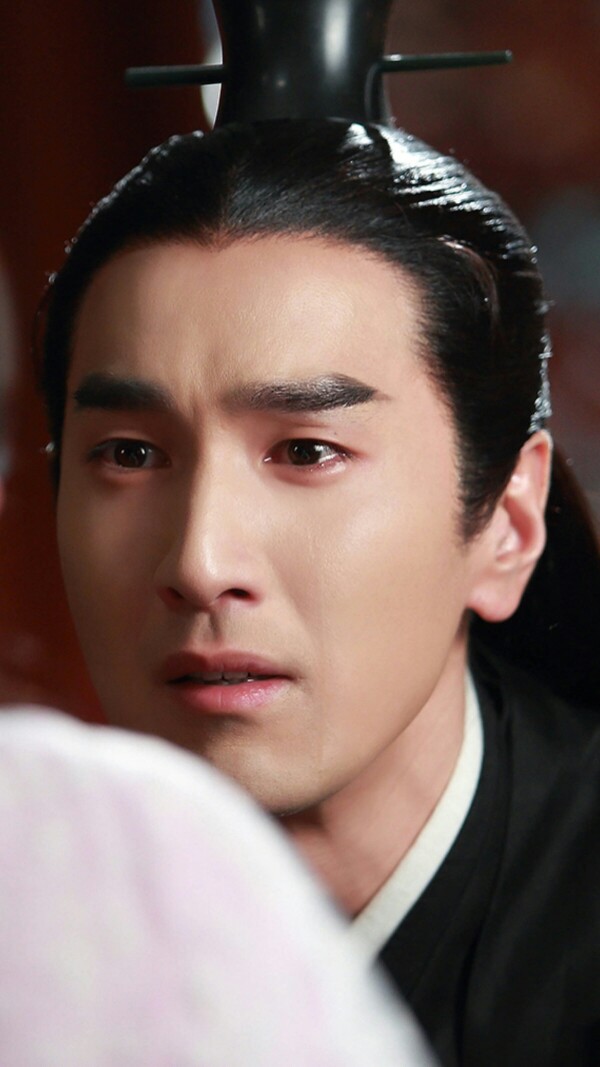 三生三世十里桃花夜华墨渊照歌赵又廷