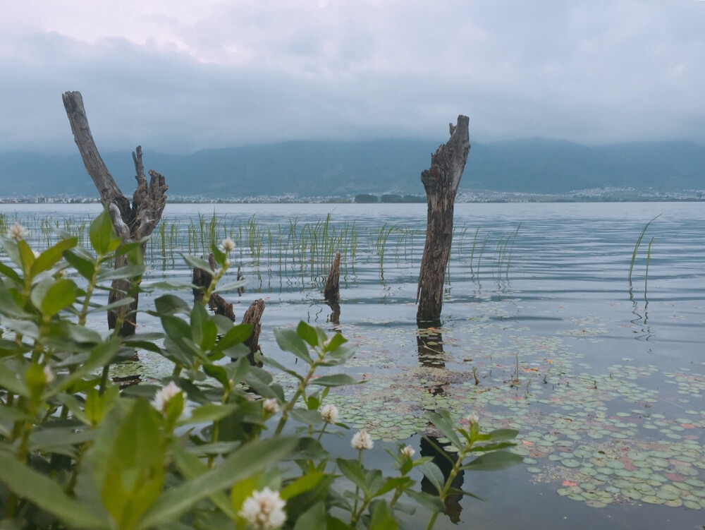 喜洲·海舌公园