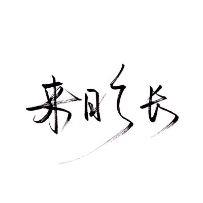 泼墨字/手写/白底