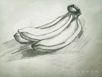香蕉素描