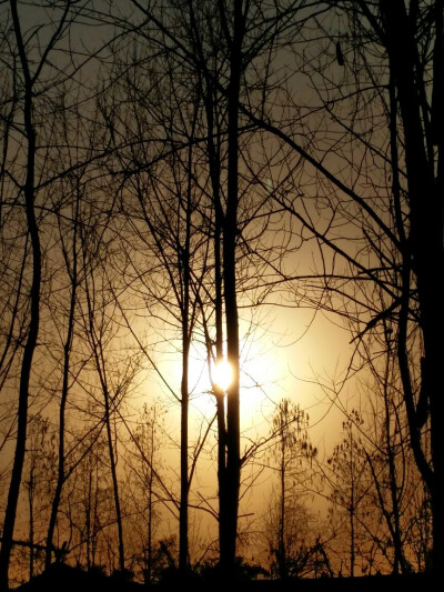 不一样的你【夕阳】