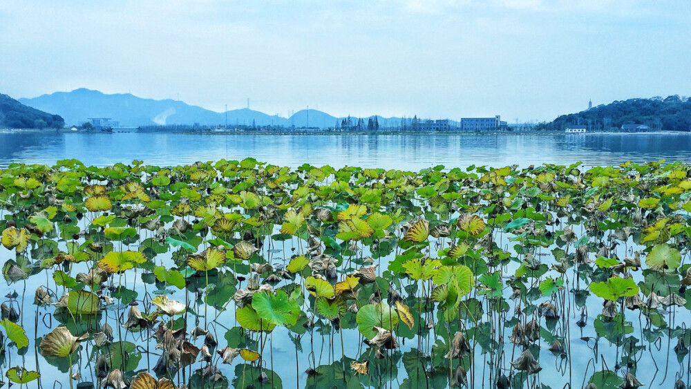 湘湖