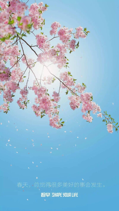 愿有岁月可回首#