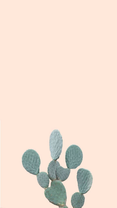 愿有岁月可回首#