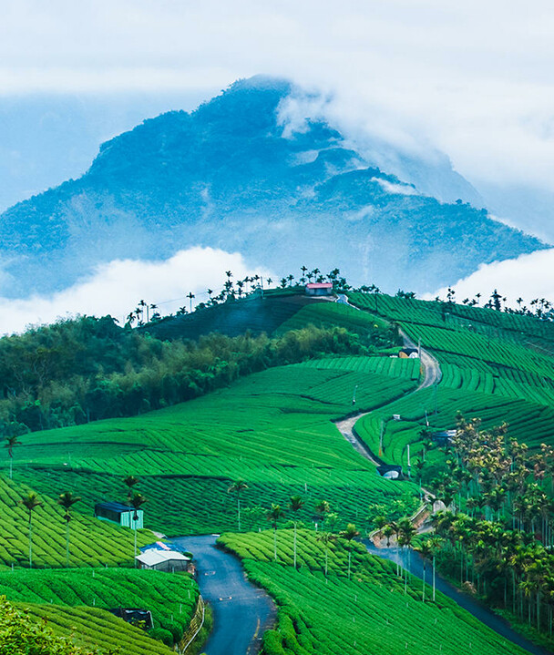 ，梯田是一种在丘陵山坡上的田地，蓄水、保土、增产作用十分显著