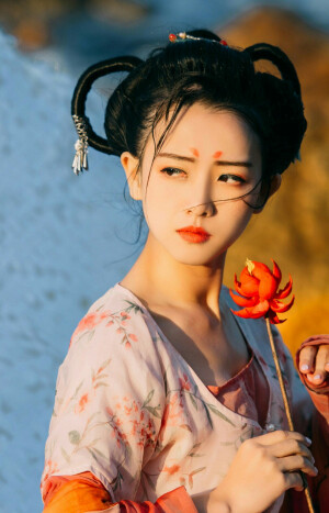 花鸟风月