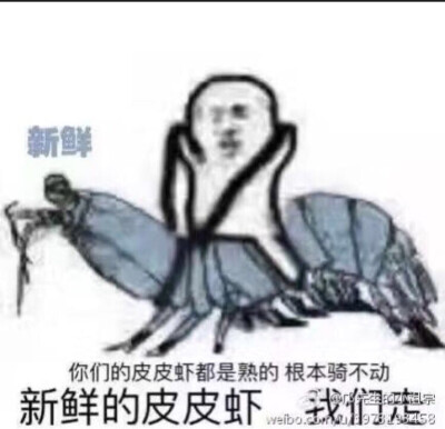 新鲜的皮皮虾