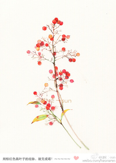 水彩 手绘 花〔作者°那仁一sun〕