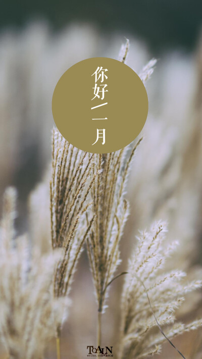 [hello，January/你好，一月]＃月份/节日/风景/花朵/英文/文字/文艺/壁纸/手机壁纸/锁屏壁纸#@潼阿凉TOALN（禁二传二改商用）