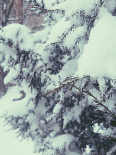 初春，初雪