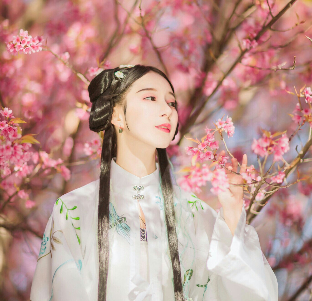 【尙清】灼灼桃花十里