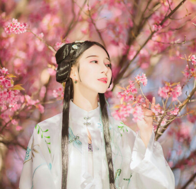 【尙清】灼灼桃花十里