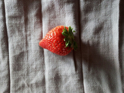 草莓 微博@削削梨