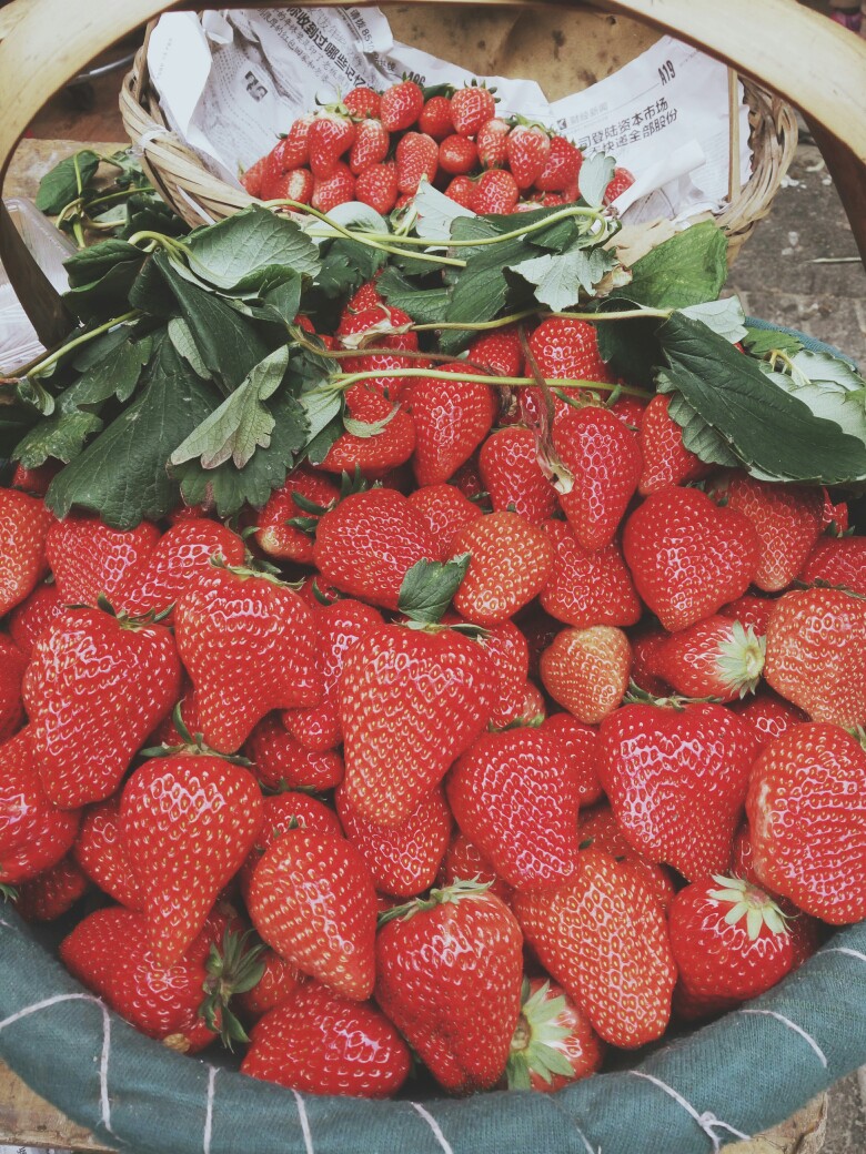 草莓微博@削削梨