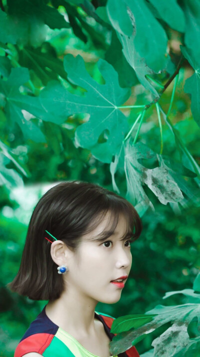 iu/壁纸