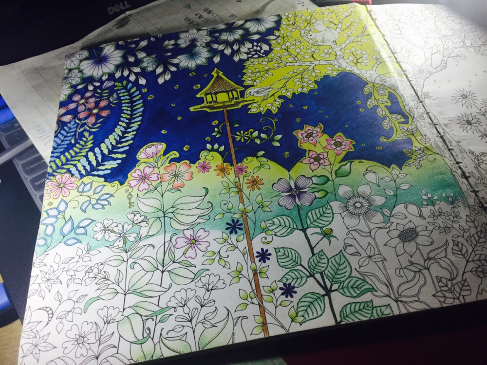 秘密花园填色进展。第一页 - 高清图片，堆糖，美图壁纸兴趣社区