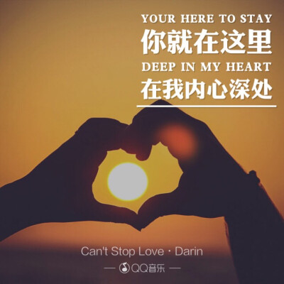 （英文）can't stop love —Darin