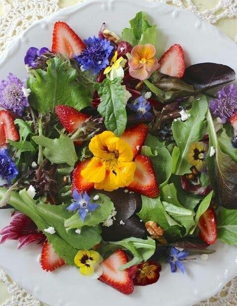 充满着春天气息的季节沙拉
蛋糕 美食头像 家常菜 西餐 日式料理 甜品 韩剧 饮料 水果 暖心 下午茶 冰淇淋 巧克力 早餐 特色小吃 食谱