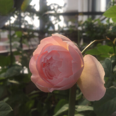 2017-03