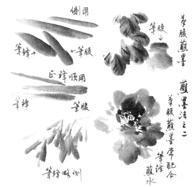 写意画蘸墨法:笔腹蘸墨