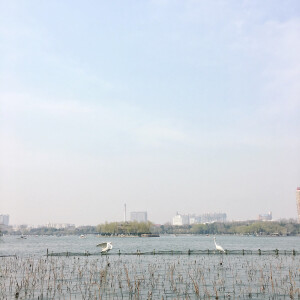 大明湖