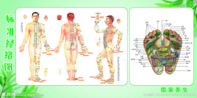 经络-脚部对应图