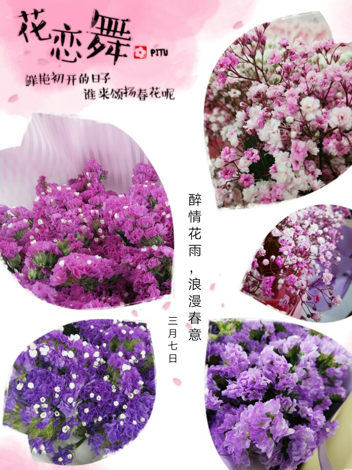 女王们，节日快乐