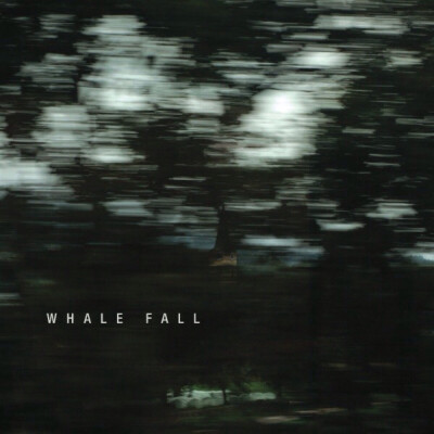 whale fall