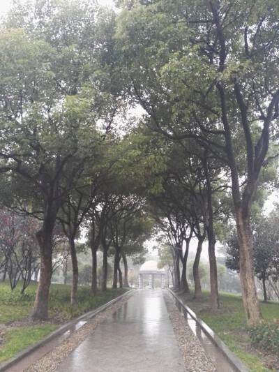 江南的春天总是湿漉漉的，下了毛毛细雨天才会暖和点