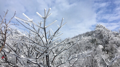 下过雪的张家界 冰世界❄️