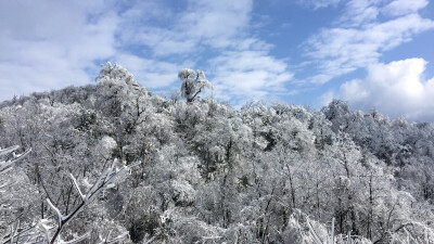 下过雪的张家界 冰世界❄️