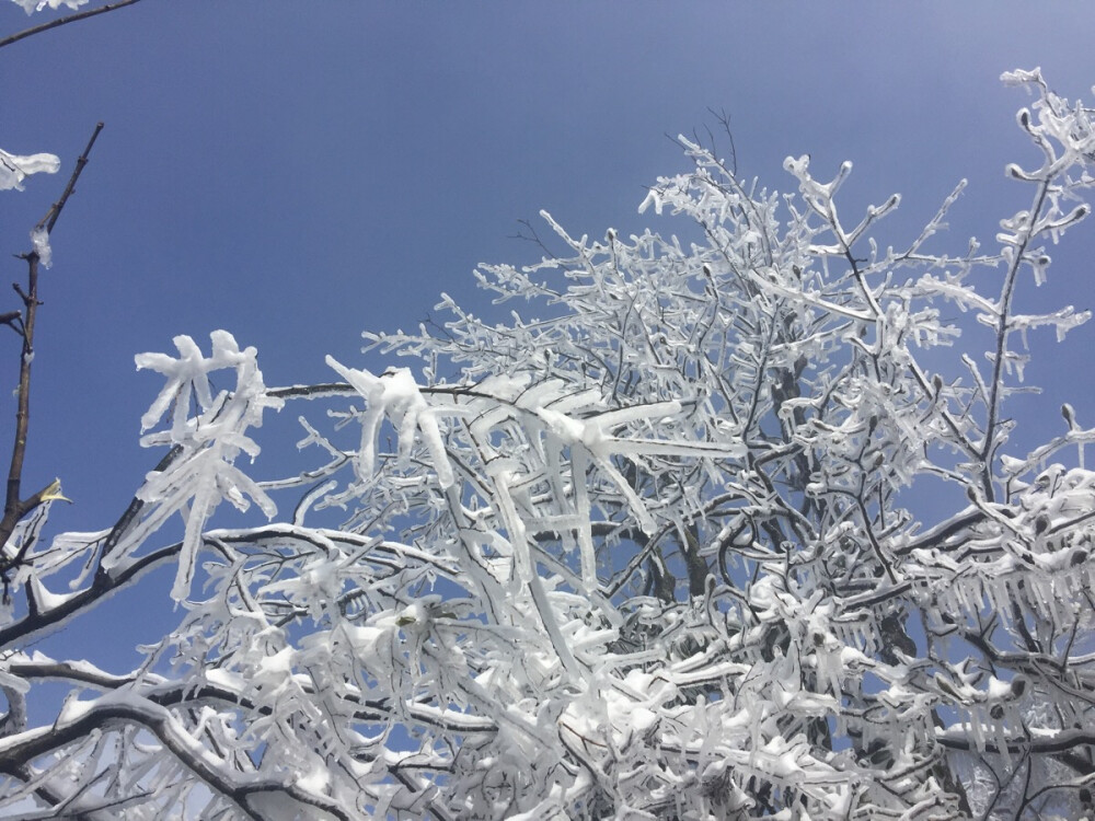 下过雪的张家界 冰雪世界❄️