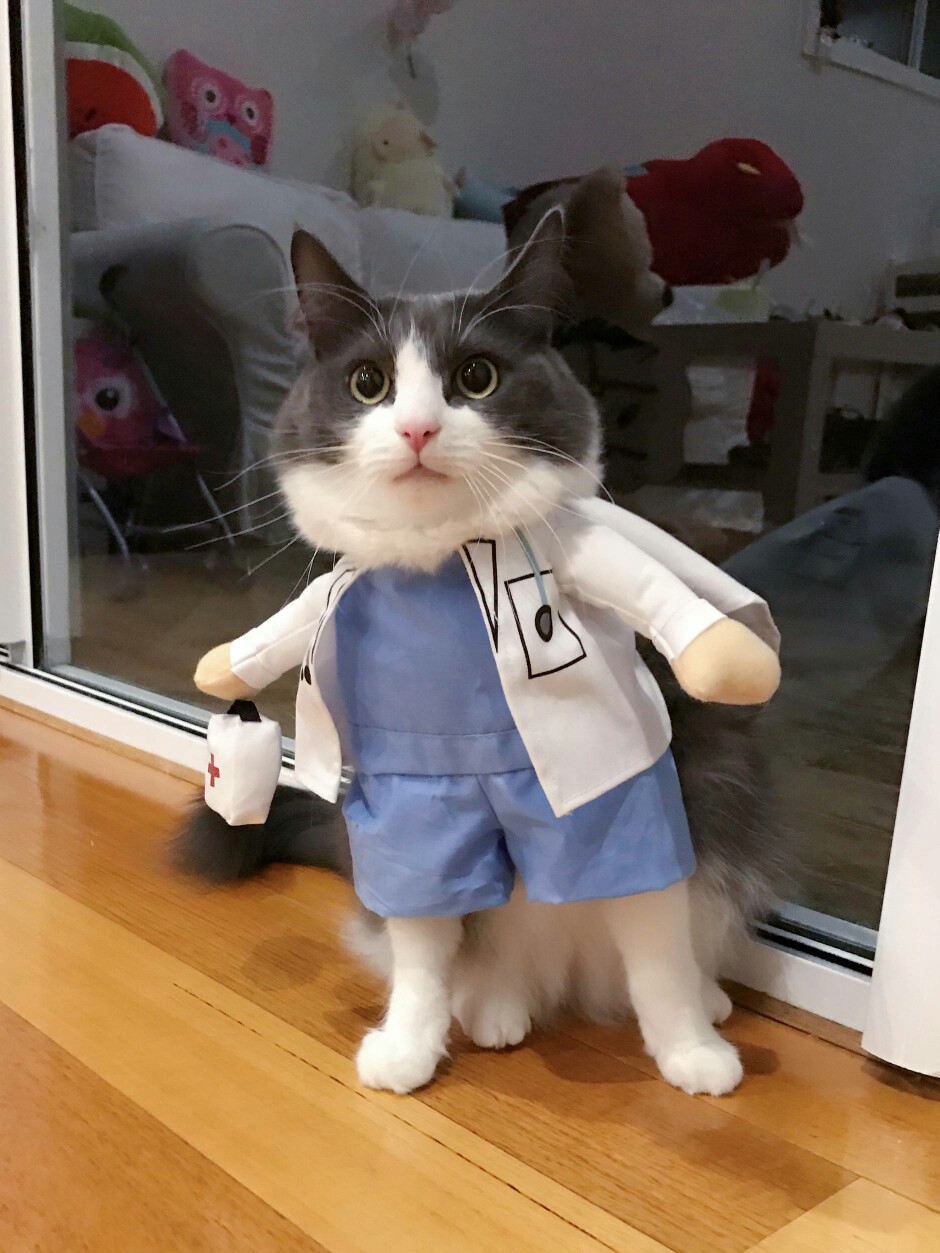 我是不是超帅？