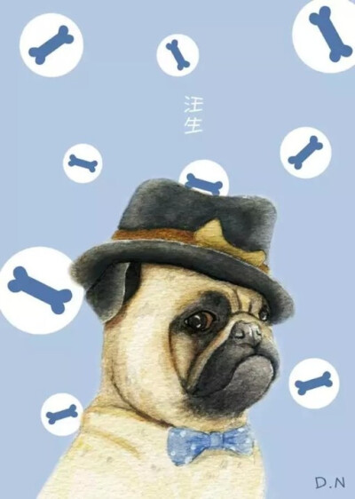 最爱pug