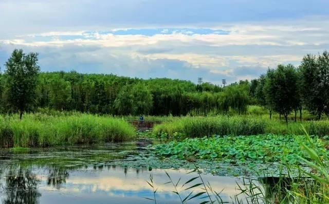 奥林匹克森林湿地公园北京