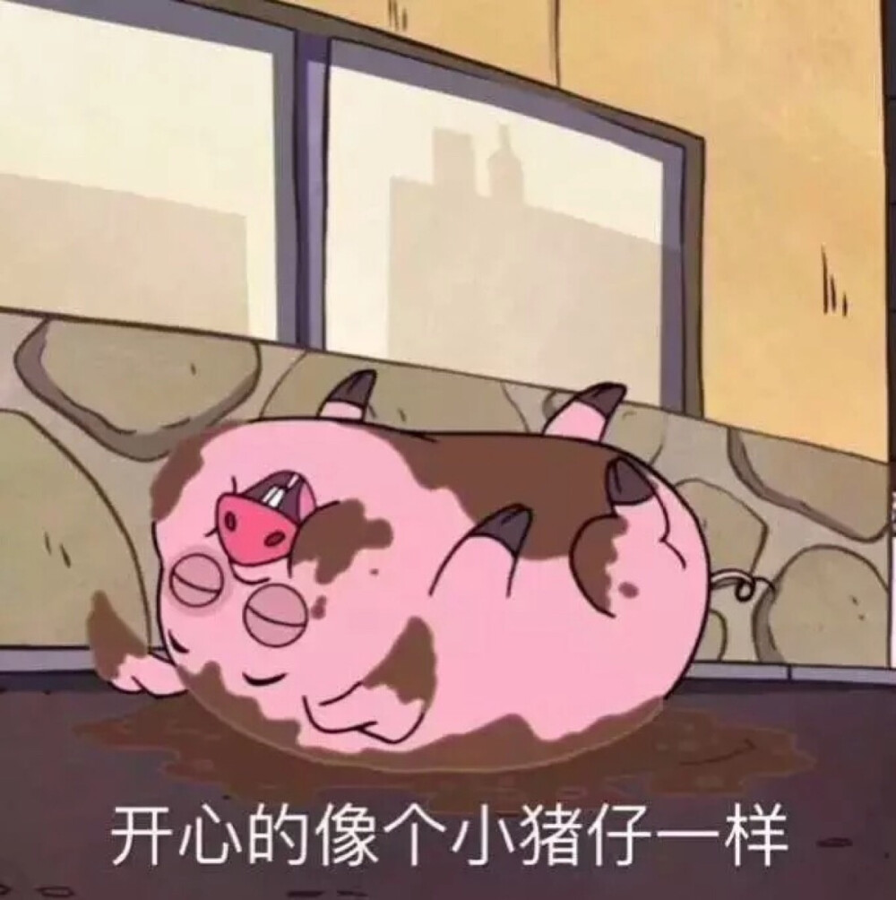 摇摇猪