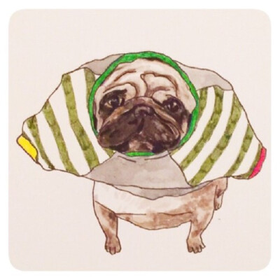 最爱pug