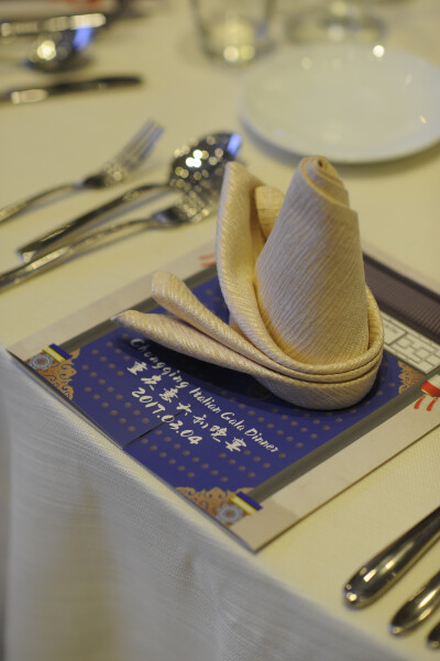 Chongqing Italian Gala Dinner 2017.03.04